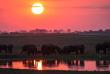 Botswana - Safari Guidé en lodge de Maun à Victoria Falls