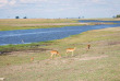 Botswana - Safari Guidé en lodge de Maun à Victoria Falls