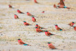Botswana - Safari Guidé en lodge de Maun à Victoria Falls