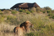 Botswana - Central Kalahari Game Reserve - Kwando Tau Pan