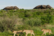 Botswana - Central Kalahari Game Reserve - Kwando Tau Pan