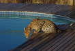 Botswana - Central Kalahari Game Reserve - Kwando Tau Pan