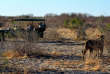 Botswana - Central Kalahari Game Reserve - Kwando Tau Pan