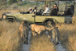 Botswana - Central Kalahari Game Reserve - Kwando Tau Pan