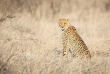 Botswana ©Shutterstock, Jandrie Lombard