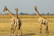 Botswana-Parc national de Chobe - Chobe Game Lodge