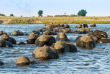 Botswana-Parc national de Chobe - Chobe Game Lodge