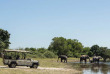 Botswana-Parc national de Chobe - Chobe Game Lodge