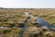 Botswana - Delta de l'Okavango - Camp Okavango