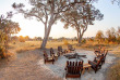 Botswana - Delta de l'Okavango - Kwara Private reserve - Kwando Splash
