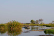 Botswana - Delta de l'Okavango - Okuti Camp