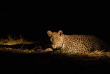 Botswana - Delta de l'Okavango - Machaba Camp