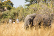Botswana - Delta de l'Okavango - Machaba Camp