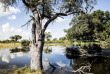 Botswana - Delta de l'Okavango - Wilderness Vumbura Plains Camp
