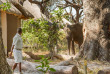 Botswana - Linyanti Reserve - Kwando Lagoon Camp