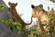 Botswana - Linyanti Reserve - Kwando Lagoon Camp