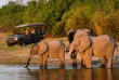 Botswana - Nord Linyanti - Wilderness Kings Pool