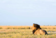 Botswana ©Shutterstock, 2630Ben