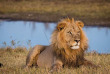 Botswana - Makgadikgadi Pans National Park - Boteti River