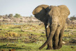 Botswana - Makgadikgadi Pans National Park - Leroo La Tau