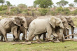Botswana - Makgadikgadi Pans National Park - Leroo La Tau