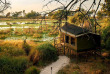 Botswana - Delta de l'Okavango - Chiefs island - Oddballs Camp