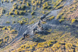 Botswana - Delta de l'Okavango ©Shutterstock, Vadim Petrakov