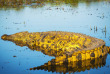 Botswana-Parc national de Chobe ©Shutterstock, Thp Stock