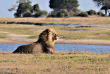 Botswana - Exploration de l'Okavango - Safaris 2 Botswana - safari mobile guidé