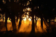 Botswana - Exploration de l'Okavango - Safaris 2 Botswana - safari mobile guidé