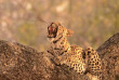 Botswana - Exploration de l'Okavango - Safaris 2 Botswana - safari mobile guidé