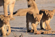 Botswana - Exploration de l'Okavango - Safaris 2 Botswana - safari mobile guidé
