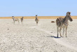 Botswana - Makgadikgadi ©Shutterstock, Gil K