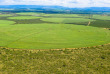 Eswatini - Champ de canne à sucre ©Shutterstock,U Eisenlohr