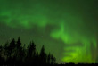 Finlande - La taiga en hiver - Aurores boréales
