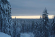 Finlande - La taiga en hiver