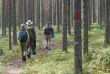 Finlande - Circuit Mammifères de la Taiga - Taiga Spirit Guest-house