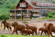 Kenya - Aberdares, The Ark