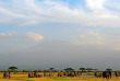 Kenya - Parc national Amboseli ©Shutterstock, attila jandi