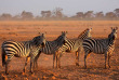 Kenya - Parc national Amboseli © Shutterstock, andrzej kubik