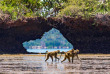 Kenya - Diani Beach - The Sands at Chale Island