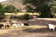 Kenya - Masai Mara Village