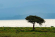 Kenya - Lake Naivasha
