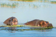 Kenya - Lake Naivasha - ©shutterstock, ivan mateev