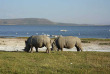 Kenya - Lake Nakuru @KTB