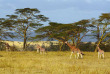 Kenya - Lake Nakuru © Shutterstock, attila jandi