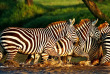 Kenya - Lake Nakuru - ©shutterstock, travel stock