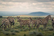 Kenya - Mara Conservancy - Loita Hills - Maji Moto Eco Camp