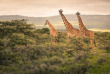 Kenya - Mara Conservancy - Loita Hills - Maji Moto Eco Camp