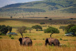 Kenya - Masai Mara - Sand River Elewana